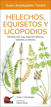 HELECHOS EQUISETOS Y LICOPODIOS - 9788418458552